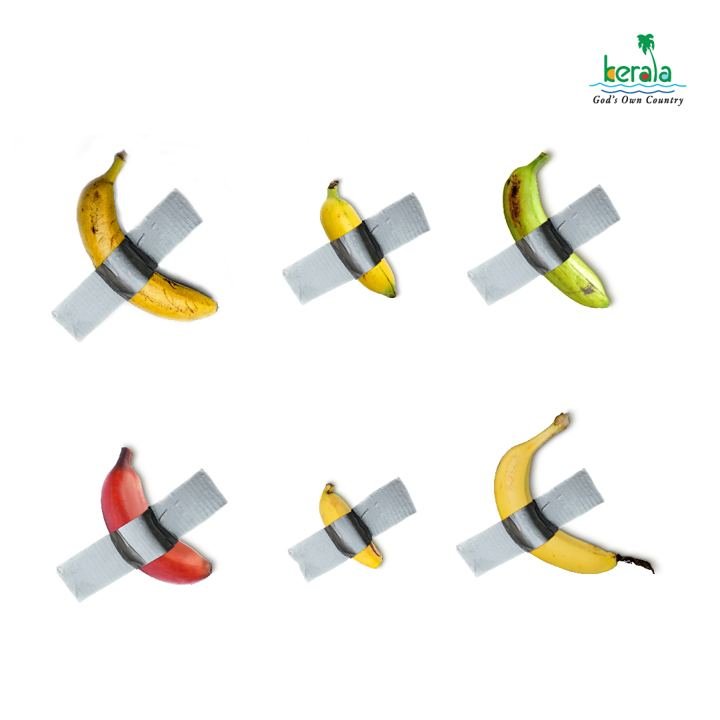 Duct-taped banana art meme with Kerala bananas